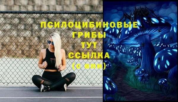 винт Нязепетровск