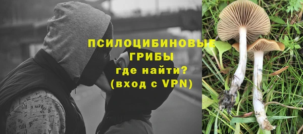 винт Нязепетровск